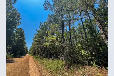 3 County Road 3230, Colmesneil, TX 75938 - Photo 1