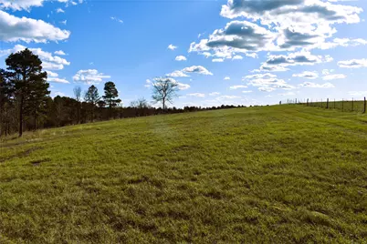 8084 E County Road 212, Buffalo, TX 75831 - Photo 3