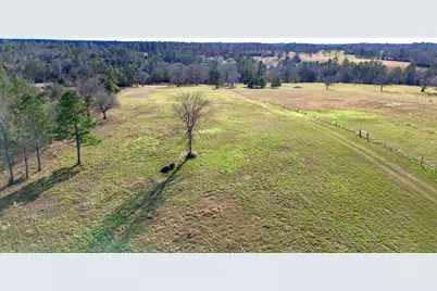 8084 E County Road 212, Buffalo, TX 75831 - Photo 11