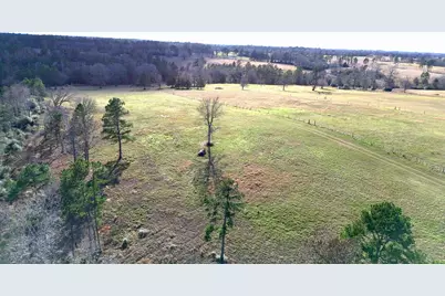 8084 E County Road 212, Buffalo, TX 75831 - Photo 9