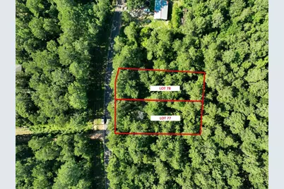 Tbd Pinebrook Drive, Plantersville, TX 77363 - Photo 3