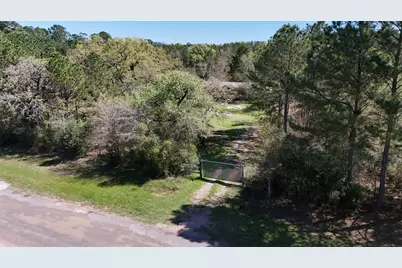 25740 Thompson Road, Waller, TX 77484 - Photo 7