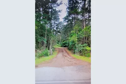 0000 Sioux Dr Drive, Hempstead, TX 77445 - Photo 1