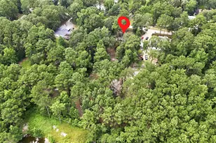 109 County Rd 3793, Cleveland, TX 77328 - Photo 45