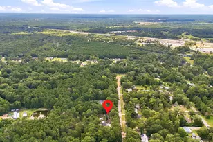 109 County Rd 3793, Cleveland, TX 77328 - Photo 47