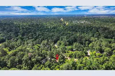 3 Hidden Deer Corner Court, The Woodlands, TX 77381 - Photo 5