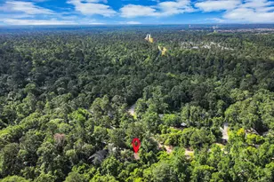 3 Hidden Deer Corner Ct, The Woodlands, TX 77381 - Photo 5