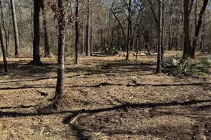 16 Ac Steede Rd, Montgomery, TX 77356 - Photo 3