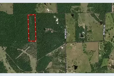 16 Ac Steede Rd, Montgomery, TX 77356 - Photo 7