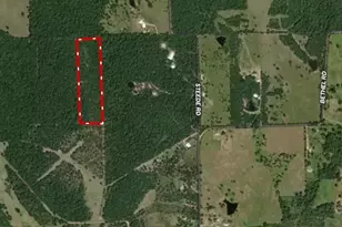 16 Ac Steede Rd, Montgomery, TX 77356 - Photo 7