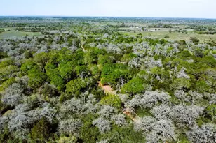 Tbd County Road 138, Hallettsville, TX 77964 - Photo 27
