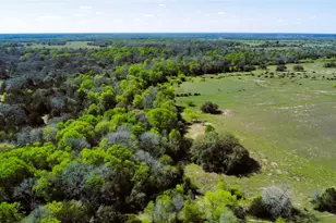 Tbd County Road 138, Hallettsville, TX 77964 - Photo 3