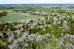 Tbd County Road 138, Hallettsville, TX 77964 - Photo 17