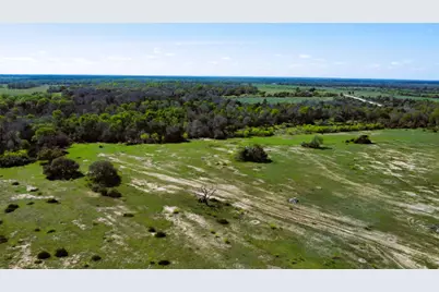Tbd County Road 138, Hallettsville, TX 77964 - Photo 9