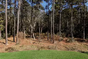 630 Lonestar Rd, Huntsville, TX 77340 - Photo 45