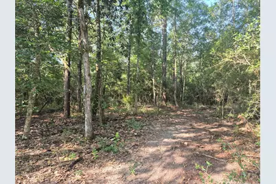 1720 County Road 1550, Warren, TX 77664 - Photo 23