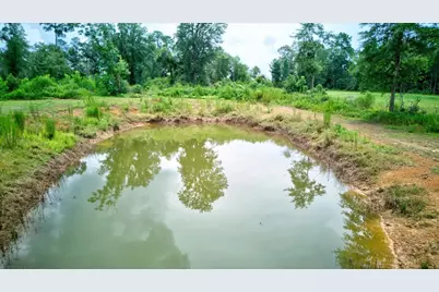 1720 County Road 1550, Warren, TX 77664 - Photo 11