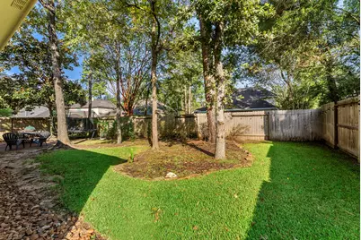 31 Canoe Birch Place, The Woodlands, TX 77382 - Photo 17