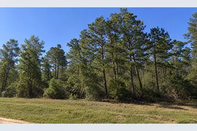11622 Grand North Road, Willis, TX 77358 - Photo 3