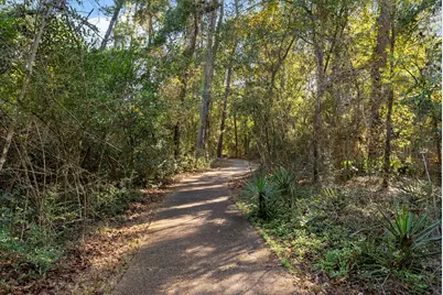 2344 W Settlers Way, The Woodlands, TX 77380 - Photo 25