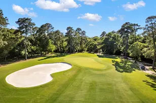 2344 W Settler's Way, The Woodlands, TX 77380 - Photo 29