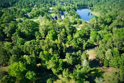 59 Beaconsfield Drive, Magnolia, TX 77355 - Photo 49