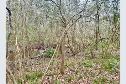 327 County Road 735, Angleton, TX 77515 - Photo 39