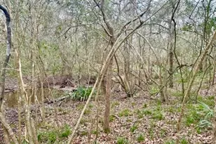 327 County Rd 735, Angleton, TX 77515 - Photo 39