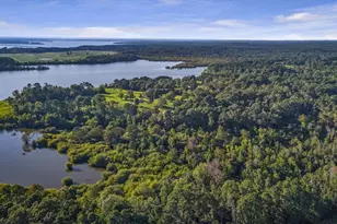 N/A Bean Muckelroy Road Rd, Etoile, TX 75944 - Photo 1