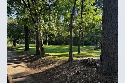 N/A Bean Muckelroy Road Road, Etoile, TX 75944 - Photo 3