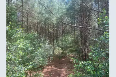 Tbd J Hickman Road, Leggett, TX 77350 - Photo 9