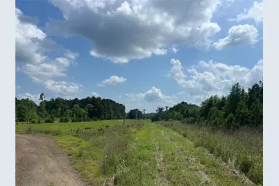 Tbd J Hickman Road, Leggett, TX 77350 - Photo 15