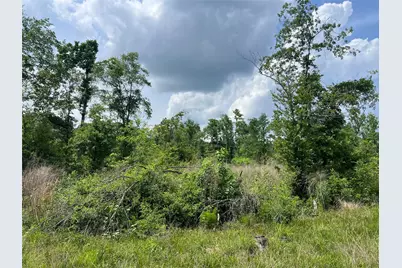 Tbd J Hickman Road, Leggett, TX 77350 - Photo 13