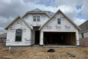 2439 Honeyberry Shrub, Manvel, TX 77578 - Photo 3