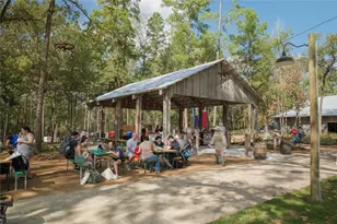 11994 Braided Mane St, Montgomery, TX 77316 - Photo 9