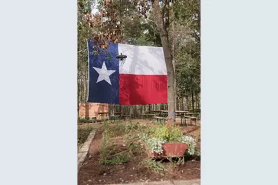 11994 Braided Mane Street, Montgomery, TX 77316 - Photo 13