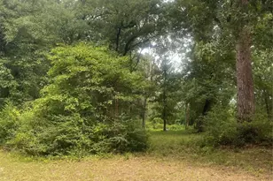 137 Camp Rd, Trinity, TX 75862 - Photo 9