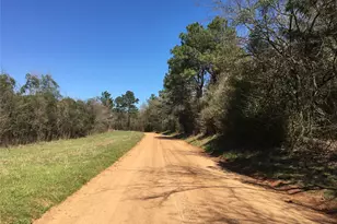 Lot11 County Road 175, Garrison, TX 75946 - Photo 1