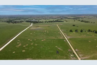 Tract #5 Cr 305 Road, Navasota, TX 77868 - Photo 1