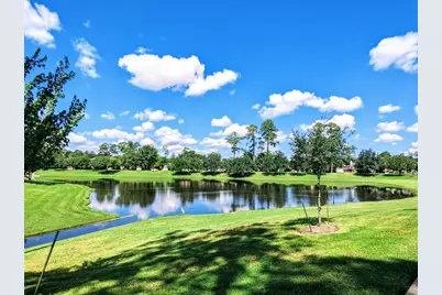 25626 Myrtle Springs, Spring, TX 77373 - Photo 29
