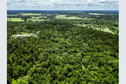 Tba State Highway 75 N, Huntsville, TX 77320 - Photo 3