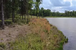 Lot 9 County Road 494, Jewett, TX 75846 - Photo 1
