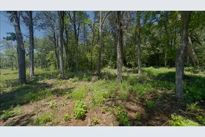 Lot 9 County Road 494, Jewett, TX 75846 - Photo 3