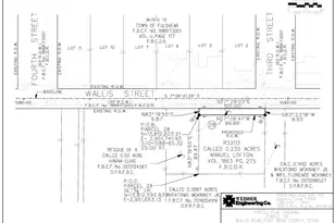8222 Wallis St, Fulshear, TX 77441 - Photo 3