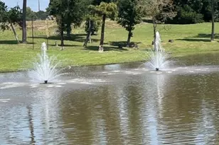 160 Branchwood Dr, Livingston, TX 77351 - Photo 1