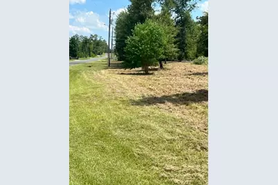 160 Branchwood Drive, Livingston, TX 77351 - Photo 5