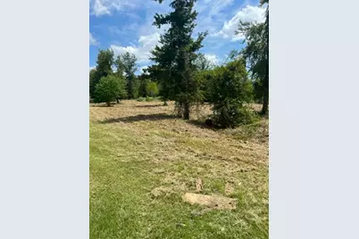 160 Branchwood Drive, Livingston, TX 77351 - Photo 9