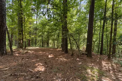 153 Sweetgum Lane, Livingston, TX 77351 - Photo 9