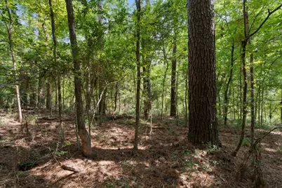 153 Sweetgum Lane, Livingston, TX 77351 - Photo 13