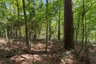 153 Sweetgum Ln, Livingston, TX 77351 - Photo 13